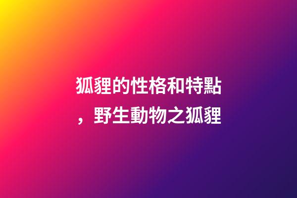 狐貍的性格和特點，野生動物之狐貍-第1張-觀點-玄機派