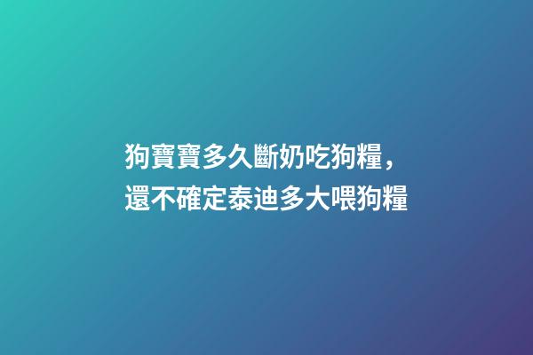 狗寶寶多久斷奶吃狗糧，還不確定泰迪多大喂狗糧-第1張-觀點-玄機派
