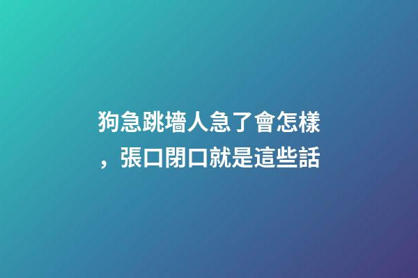 狗急跳墻人急了會怎樣，張口閉口就是這些話-第1張-觀點-玄機派