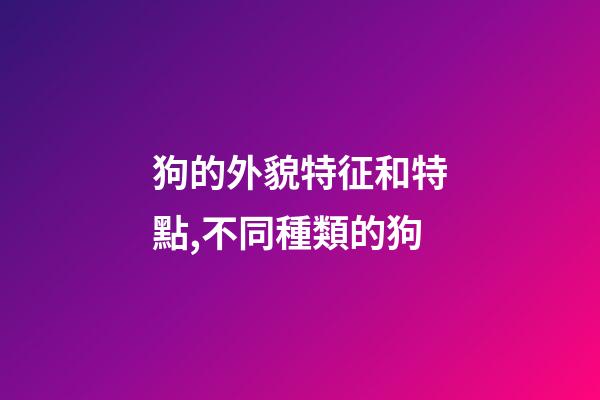 狗的外貌特征和特點,不同種類的狗-第1張-觀點-玄機派