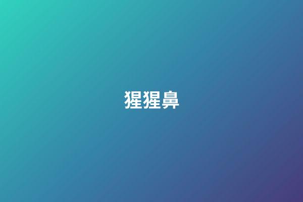 猩猩鼻