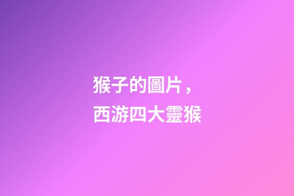 猴子的圖片，西游四大靈猴-第1張-觀點(diǎn)-玄機(jī)派