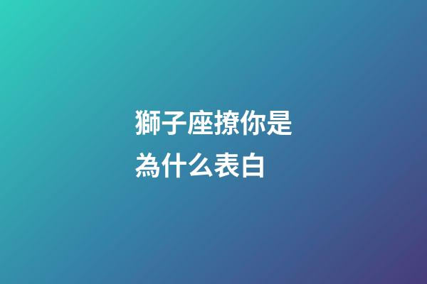 獅子座撩你是為什么表白-第1張-星座運勢-玄機派