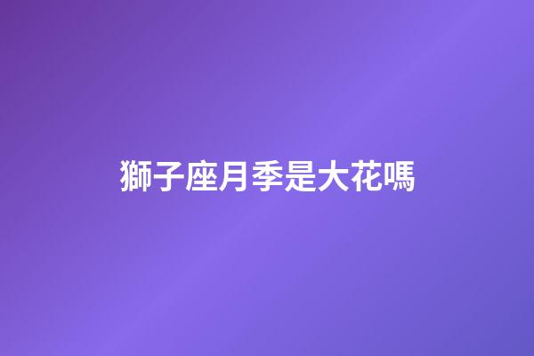 獅子座月季是大花嗎-第1張-星座運勢-玄機派