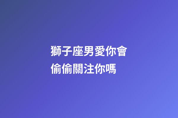 獅子座男愛你會偷偷關注你嗎-第1張-星座運勢-玄機派
