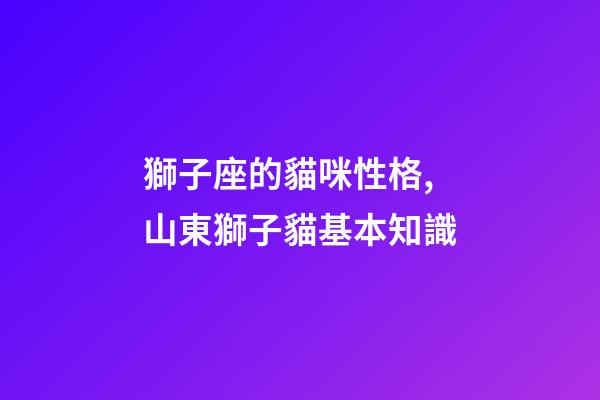 獅子座的貓咪性格,山東獅子貓基本知識-第1張-觀點-玄機派