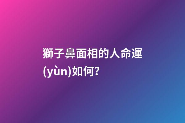 獅子鼻面相的人命運(yùn)如何？