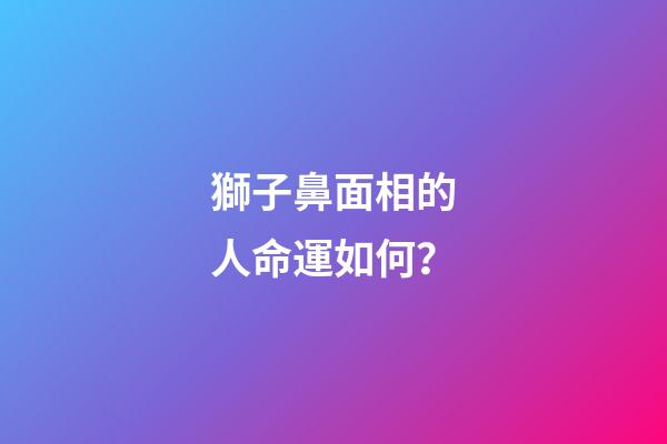 獅子鼻面相的人命運如何？