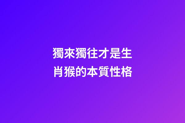 獨來獨往才是生肖猴的本質性格