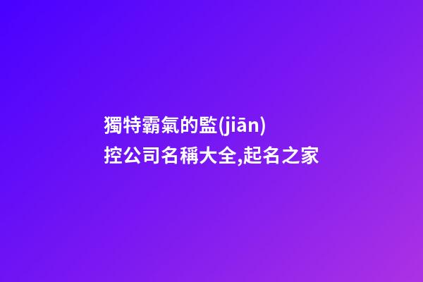 獨特霸氣的監(jiān)控公司名稱大全,起名之家-第1張-公司起名-玄機派