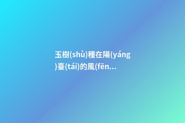 玉樹(shù)種在陽(yáng)臺(tái)的風(fēng)水
