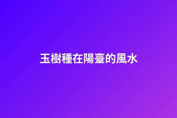 玉樹種在陽臺的風水