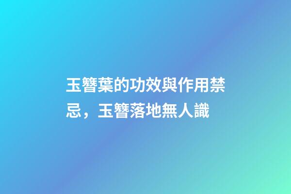 玉簪葉的功效與作用禁忌，玉簪落地無人識-第1張-觀點-玄機派