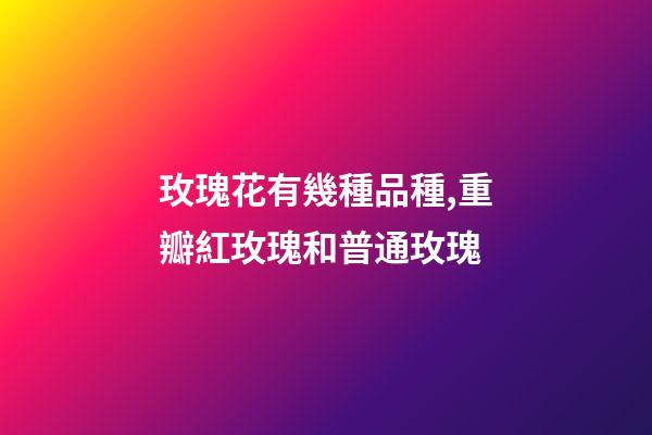 玫瑰花有幾種品種,重瓣紅玫瑰和普通玫瑰-第1張-觀點-玄機派