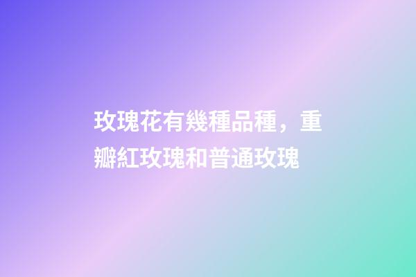 玫瑰花有幾種品種，重瓣紅玫瑰和普通玫瑰-第1張-觀點-玄機派