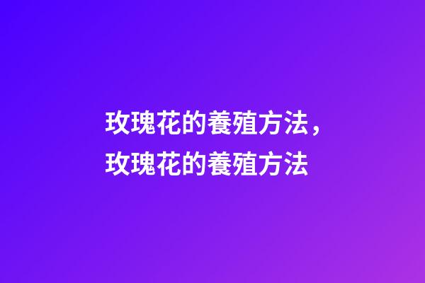 玫瑰花的養殖方法，玫瑰花的養殖方法-第1張-觀點-玄機派