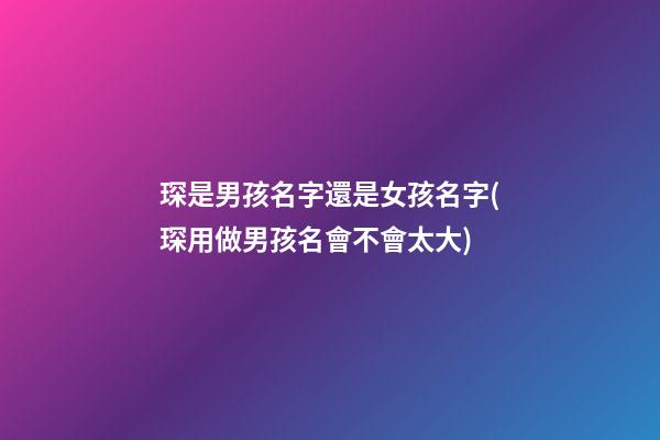 琛是男孩名字還是女孩名字(琛用做男孩名會不會太大)