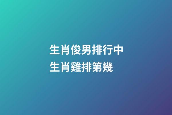 生肖俊男排行中生肖雞排第幾