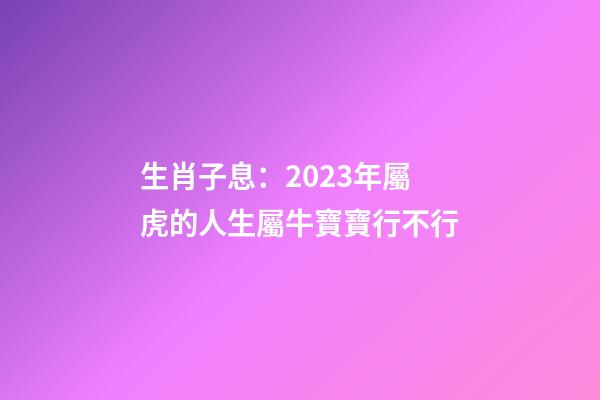 生肖子息：2023年屬虎的人生屬牛寶寶行不行
