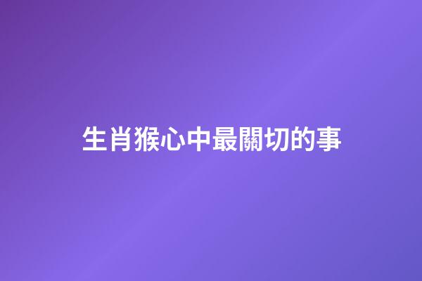 生肖猴心中最關切的事
