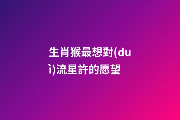 生肖猴最想對(duì)流星許的愿望