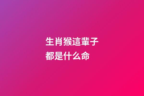 生肖猴這輩子都是什么命