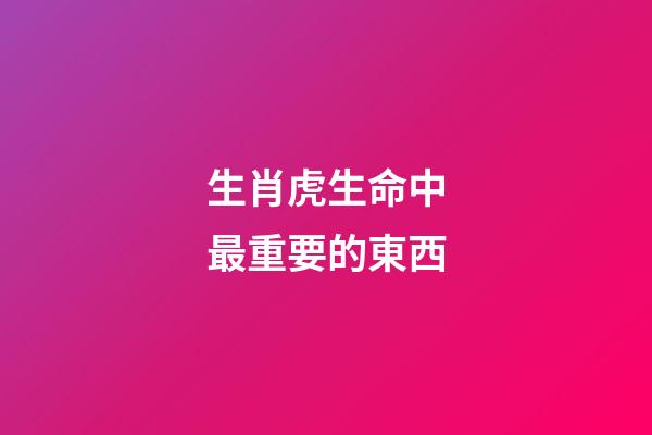 生肖虎生命中最重要的東西