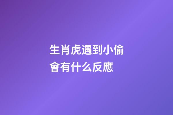 生肖虎遇到小偷會有什么反應
