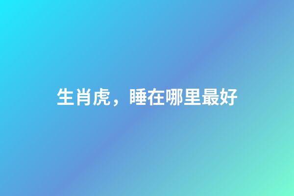 生肖虎，睡在哪里最好