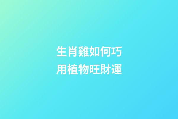 生肖雞如何巧用植物旺財運