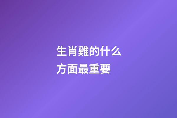 生肖雞的什么方面最重要