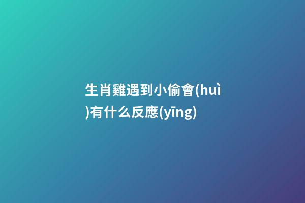 生肖雞遇到小偷會(huì)有什么反應(yīng)