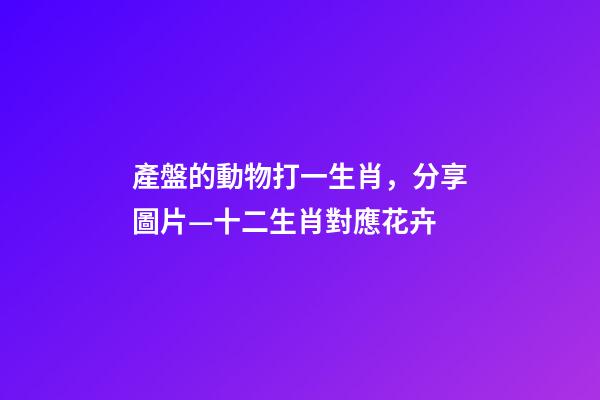 產盤的動物打一生肖，分享圖片—十二生肖對應花卉-第1張-觀點-玄機派