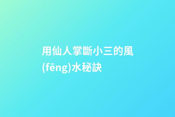 用仙人掌斷小三的風(fēng)水秘訣