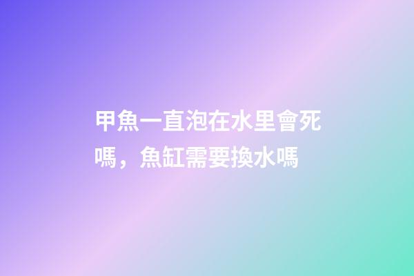 甲魚一直泡在水里會死嗎，魚缸需要換水嗎-第1張-觀點-玄機派