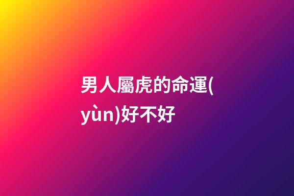 男人屬虎的命運(yùn)好不好