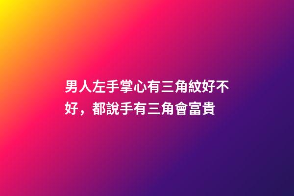 男人左手掌心有三角紋好不好，都說手有三角會富貴-第1張-觀點-玄機派