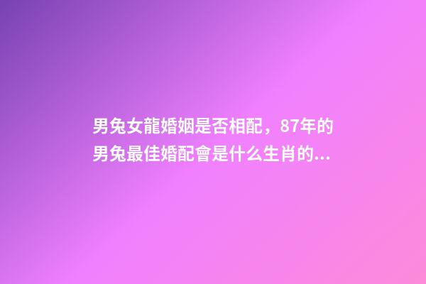 男兔女龍婚姻是否相配，87年的男兔最佳婚配會是什么生肖的女性-第1張-觀點-玄機(jī)派
