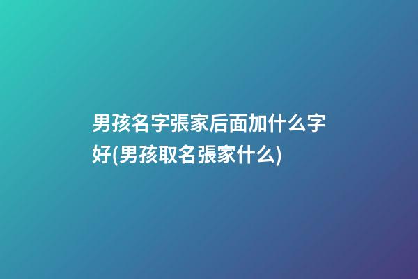 男孩名字張家后面加什么字好(男孩取名張家什么)