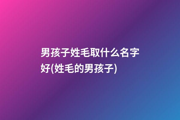 男孩子姓毛取什么名字好(姓毛的男孩子)