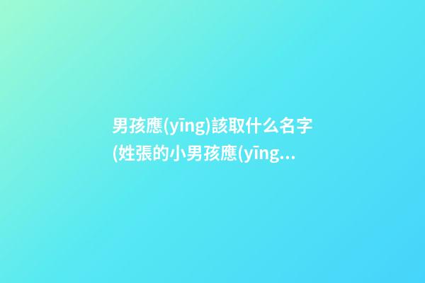 男孩應(yīng)該取什么名字(姓張的小男孩應(yīng)該取什么名字)