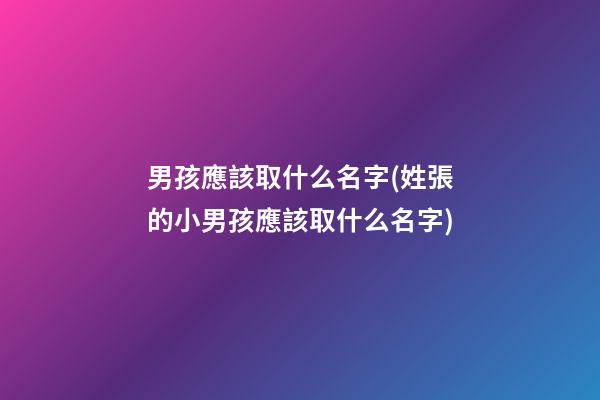 男孩應該取什么名字(姓張的小男孩應該取什么名字)