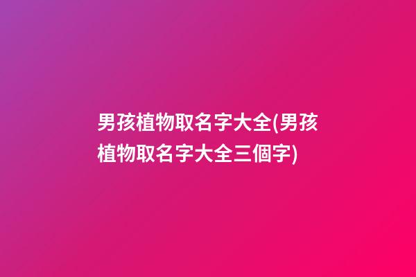 男孩植物取名字大全(男孩植物取名字大全三個字)