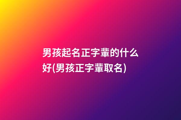 男孩起名正字輩的什么好(男孩正字輩取名)