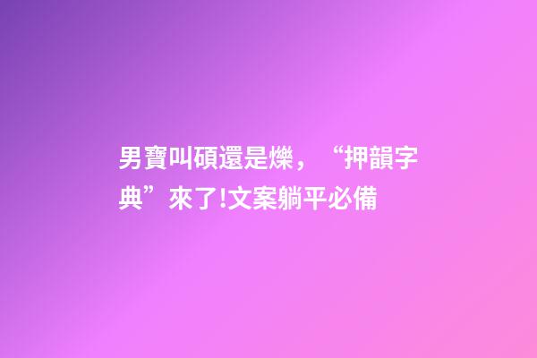 男寶叫碩還是爍，“押韻字典”來了!文案躺平必備-第1張-觀點-玄機派