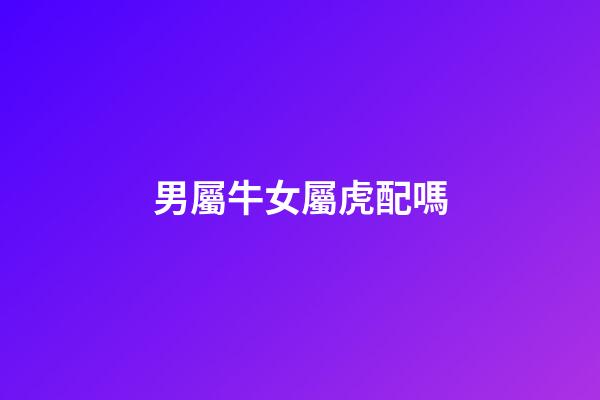 男屬牛女屬虎配嗎