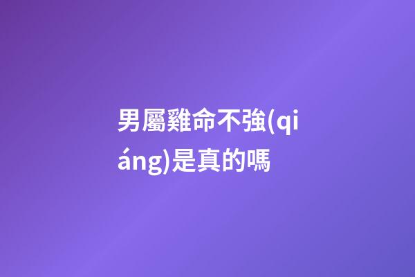 男屬雞命不強(qiáng)是真的嗎