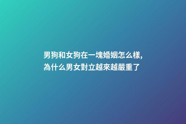 男狗和女狗在一塊婚姻怎么樣,為什么男女對立越來越嚴重了-第1張-觀點-玄機派
