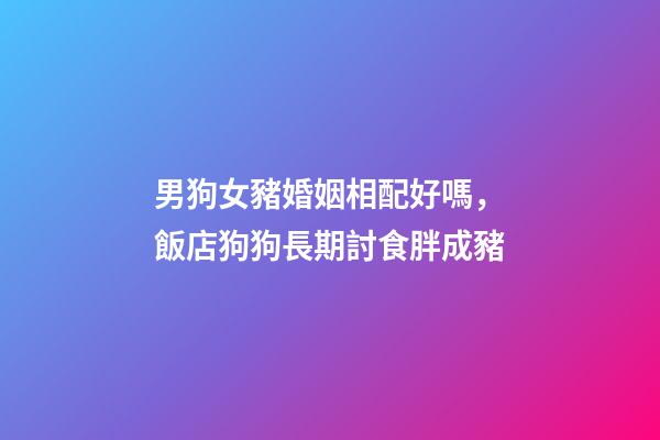 男狗女豬婚姻相配好嗎，飯店狗狗長期討食胖成豬-第1張-觀點-玄機派