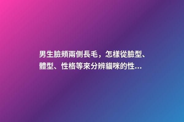 男生臉頰兩側長毛，怎樣從臉型、體型、性格等來分辨貓咪的性別-第1張-觀點-玄機派